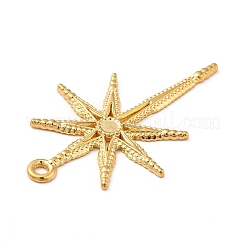 Ионное покрытие (ip) подвески из нержавеющей стали 304&nbsp;STAS-P312-22G