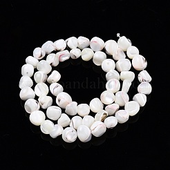 Нити бусин из натуральных трохоидных/трохус ракушек SSHEL-N032-48-B01