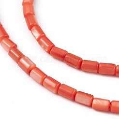 Натуральные пресноводные окрашенные бусы из ракушек SHEL-M018-12-02