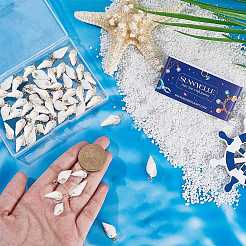 80 шт. 3 стиля спиральных подвесок-ракушек&nbsp;FIND-SC0012-93