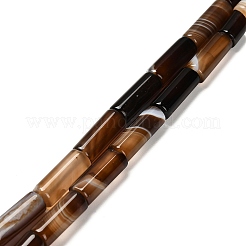 Окрашенные естественный агат бисер пряди G-G203-01E