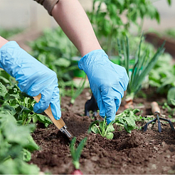 Корнеуборочная машина из нержавеющей стали 430&nbsp;AJEW-WH0270-310