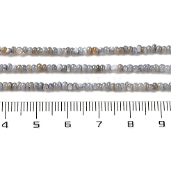 Нити бусин из натуральных пресноводных ракушек X-SHEL-P017-01A-13