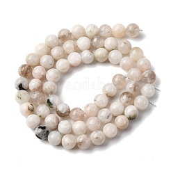 Натуральный белый лунный камень бисер пряди G-I388-01-6mm