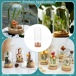 Стеклянные крышки купола cloche AJEW-BC0008-82