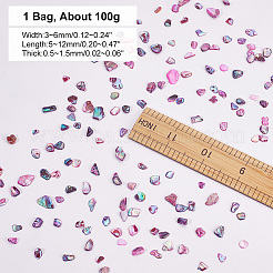 1 пакетик хлопьев раковины абалон кабошоны SHEL-GA0001-17B