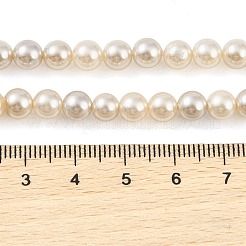 Нити бусин из натуральных пресноводных раковин с гальваническим покрытием BSHE-G036-22