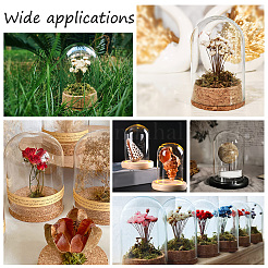 Стеклянный купол AJEW-PH0004-18