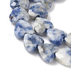 Натуральное синее пятно нитки из бисера яшмы G-D316-B10