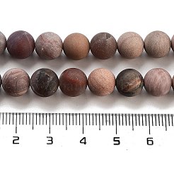 Матовые естественный окаменелого дерева нити круглые шарик&nbsp;G-F266-07-8mm-01