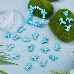 30шт подвески из синтетической бирюзы G-HS0001-13B