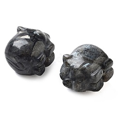 Резные фигурки из натурального ларвикита DJEW-L023-C03