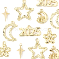 Подвески из сплава 12 шт.&nbsp;FIND-FS0003-38G