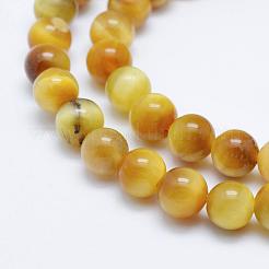 Натуральный золотой тигр глаз бисер пряди G-K203-84-6mm