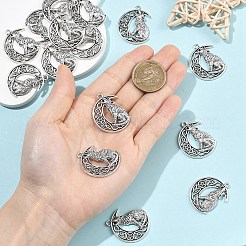 15 шт. Подвески из сплава в тибетском стиле&nbsp;FIND-YW0011-12