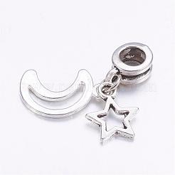 Европейские подвески из сплава в тибетском стиле PALLOY-JF00331