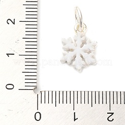 Эмалевые подвески с рождественской тематикой FIND-I063-01K