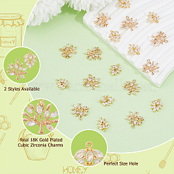 24 шт. 2 стиля латунные подвески с микропаве и кубическим цирконием KK-HS0001-29
