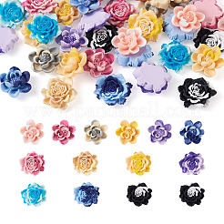 52 шт. 13-х цветные двухцветные кабошоны из непрозрачной смолы CRES-CD0001-08