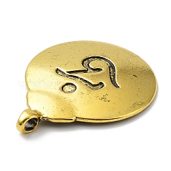 Подвески из сплава &nbsp;LS-PALLOY-Q448-01AG