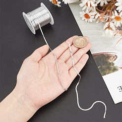 Плоские змейки из нержавеющей стали длиной 10 м CHS-NB0001-03