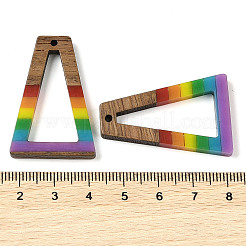 Подвески Pride на тему радуги из смолы и орехового дерева WOOD-K012-11A