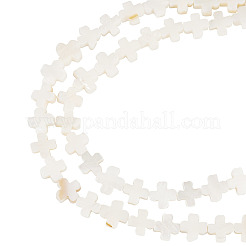 1 нить бусины из натуральных пресноводных ракушек&nbsp;SSHEL-TA0001-19