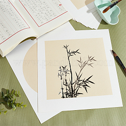 2 набор из 2 открыток из китайской рисовой бумаги AJEW-PH0004-89A