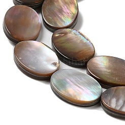 Нити бусин из натуральных морских раковин SHEL-K006-33