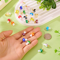 24шт 12 цвета подвески ручной работы лэмпворк&nbsp;LAMP-TA0001-77