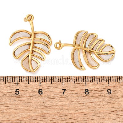 Подвески из натуральной ракушки из нержавеющей стали 304 STAS-U061-18G-01-1