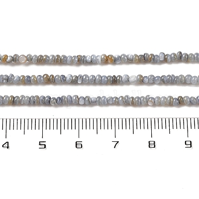 Нити бусин из натуральных пресноводных ракушек X-SHEL-P017-01A-13-1