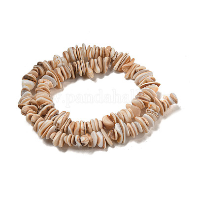 Нити бусин из натуральных ракушек морских ракушек SSHEL-H072-06-1