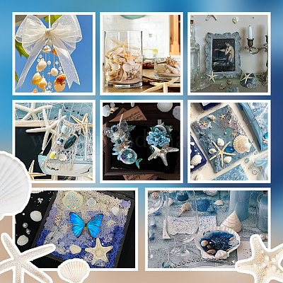 30 шт. 4 стиля натуральной ракушки для украшения дома AJEW-OC0014-08-1