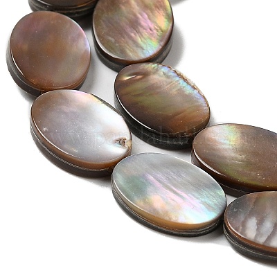 Нити бусин из натуральных морских раковин SHEL-K006-33-1