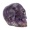1Pc Resin Skull Display Decoration, with Natural Amethyst Chips inside Statues for Home Office Decorations, 34.5x44.5x37.5mm