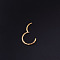 316L Surgical Stainless Steel Wheat Hoop Nose Rings, Golden, Inner Diameter: 8mm, Pin: 1.2mm