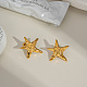 Серьги-гвоздики в европейском стиле из нержавеющей стали в форме звезды SW3410-2