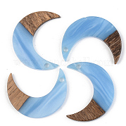 Подвески из непрозрачной смолы и ореха RESI-S389-056B-C01