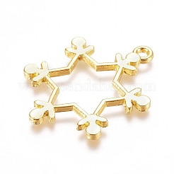 Подвески на лицевой панели из сплава цинка&nbsp;LS-PALLOY-E564-78G