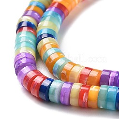 Природные trochid бусы нити&nbsp;SSHEL-G023-02B-02