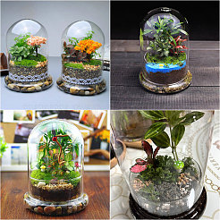 Стеклянный купол&nbsp;DIY-WH0504-318