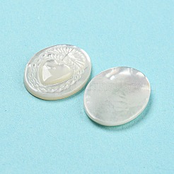 Природные кабошоны с морской раковиной SHEL-D079-19