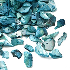 Окрашенные натуральные перламутровые ракушки&nbsp;BSHE-O007-10A