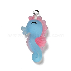 Подвески из непрозрачной смолы&nbsp;RESI-D055-093P