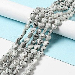 Натуральный кунжут яшма / киви нитки бусины яшмы G-B022-12C