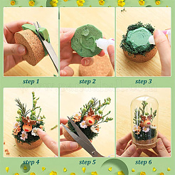 4 комплект из 2 стеклянных прозрачных стеклянных колпаков-витрин&nbsp;AJEW-NB0005-26