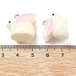 (распродажа бракованных товаров) подвески из непрозрачной смолы&nbsp;RESI-XCP0001-28