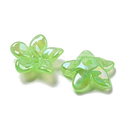 Цвет AB покрытием акриловые бусины&nbsp;OACR-G034-01B