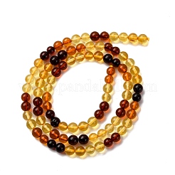 Нити бусин из натурального янтаря градиентного цвета G-F803-F01-4mm
